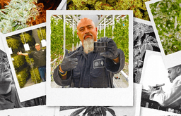 The OG Kush Legacy | Cultivating Icons, Crafting Flow