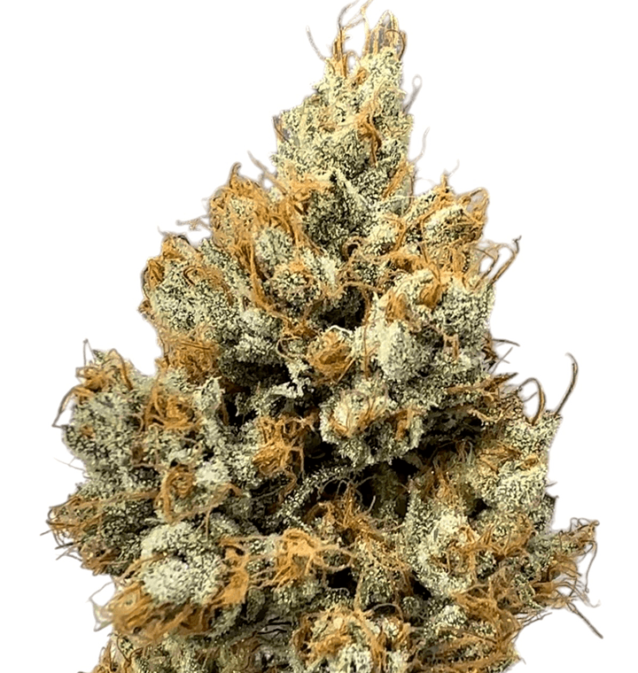 The OG KISS thumbnail 2