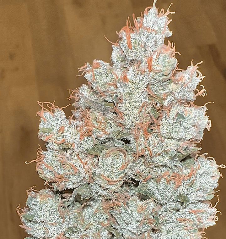 Skull Crusher thumbnail 2