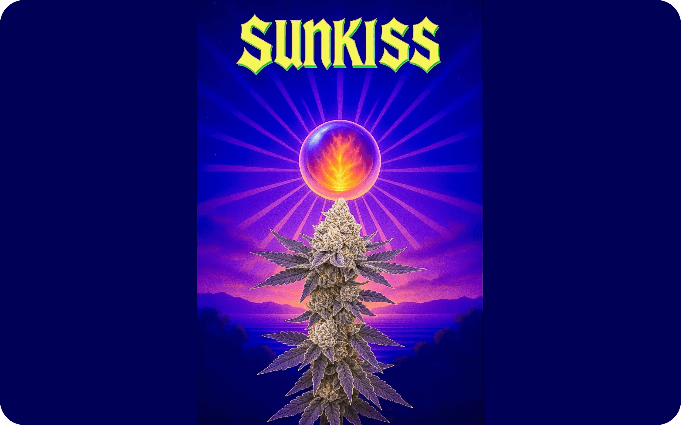Sunkiss artwork