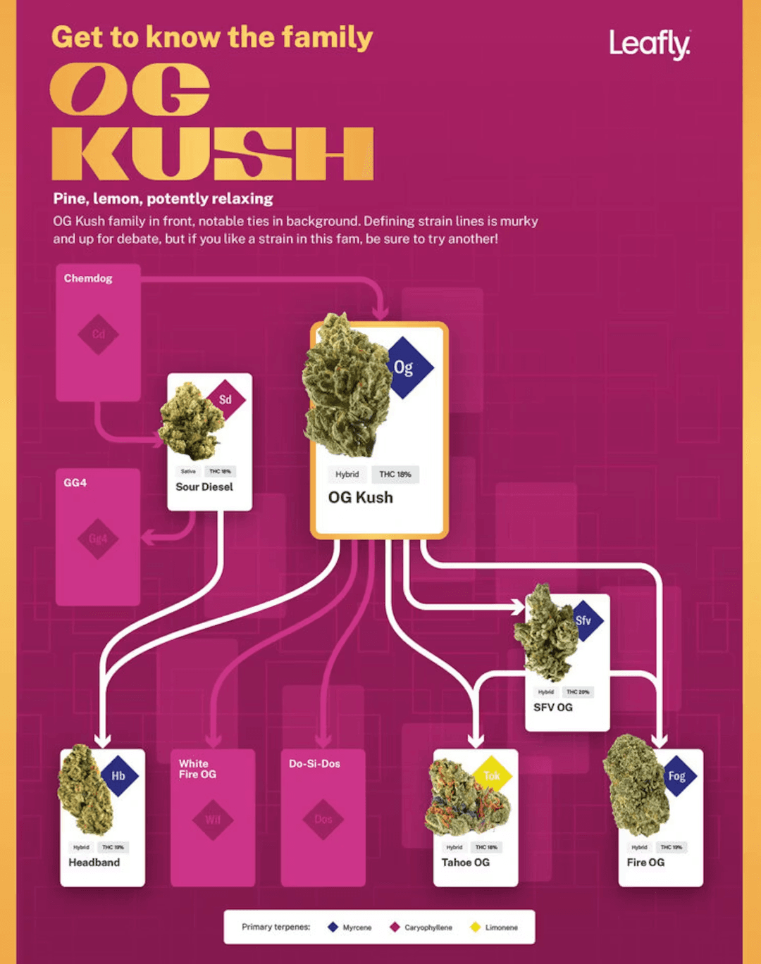 An Epoch of OG: The OG Kush family genealogy